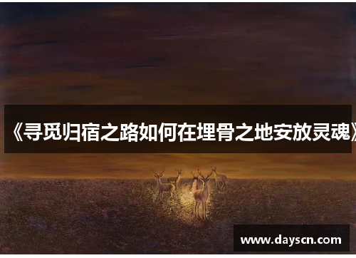 《寻觅归宿之路如何在埋骨之地安放灵魂》