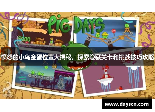 愤怒的小鸟金蛋位置大揭秘，探索隐藏关卡和挑战技巧攻略